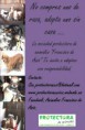/album/actividades/difundir-adopcion-jpg/
